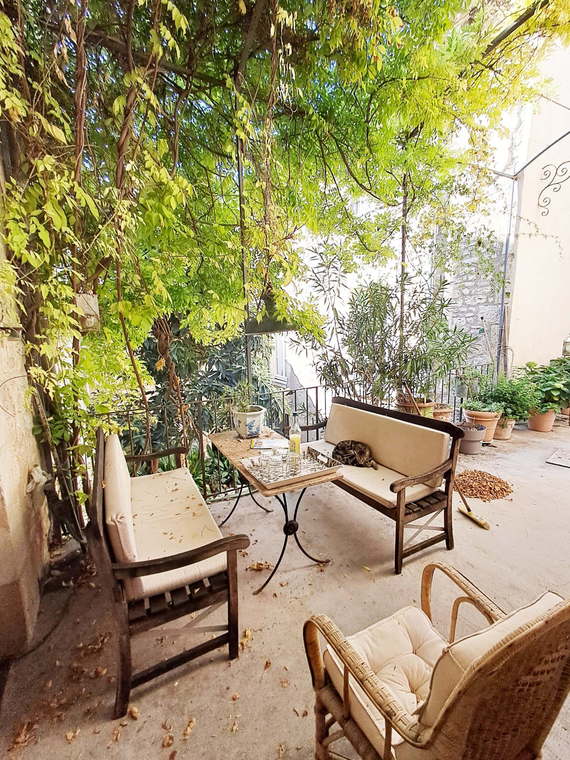 Hôtel de Bernis - Terrasse